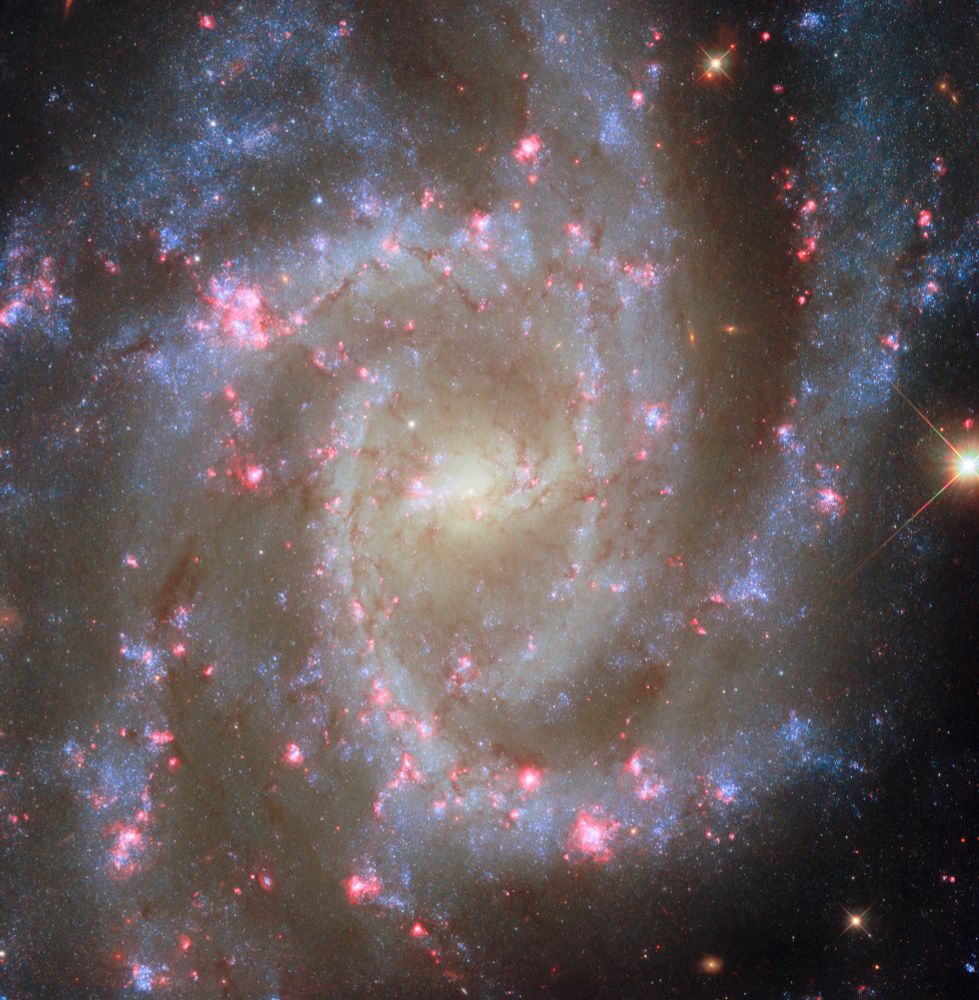 A spiral galaxy seen face-on. Its centre is a bright glowing yellow. The galaxy’s spiral arms contain sparkling blue stars, pink spots of star formation, and dark threads of dust that follow the arms.