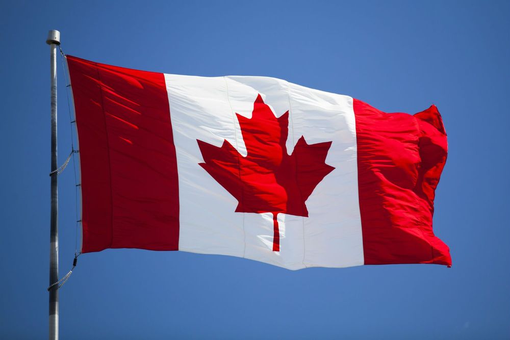 Canadian flag, also known as the Maple Leaf Flag, is a red flag with a white square in the centre featuring a red, 11-pointed stylised maple leaf.