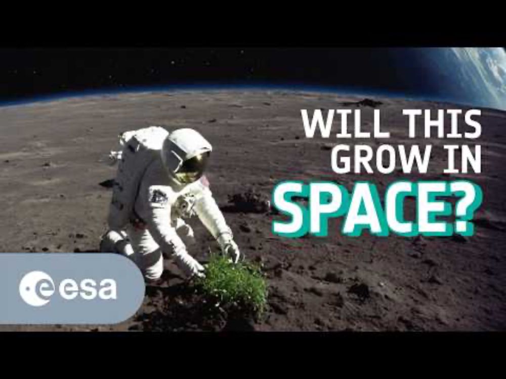 What plants can grow in space?