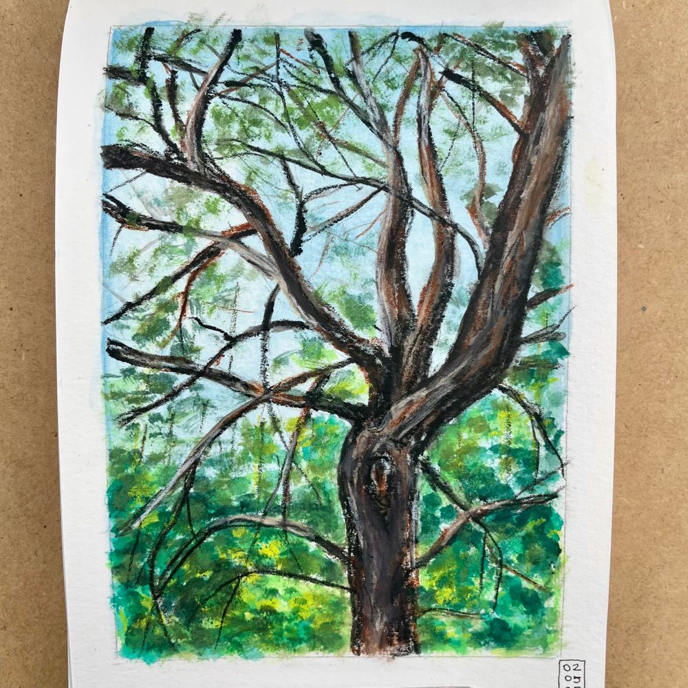 Sketchbook page with a painting of a tree with foliage in the background 
