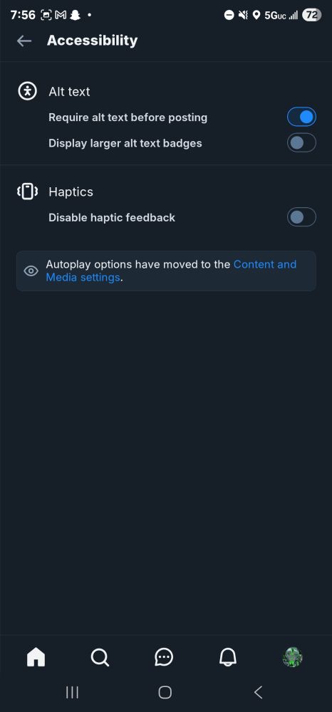 Screenshot of the accessibility settings page on bluesky with the "Require alt text before posting" option turned on