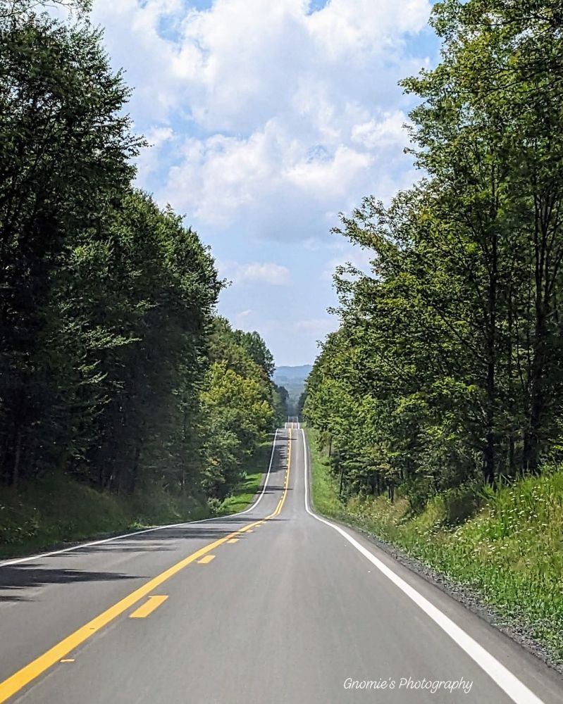 A long straight two lane road stretching out like a ribbon of asphalt over the mountain tops. There are tall trees on either side, blue mountains in the distance, and puffy clouds. 