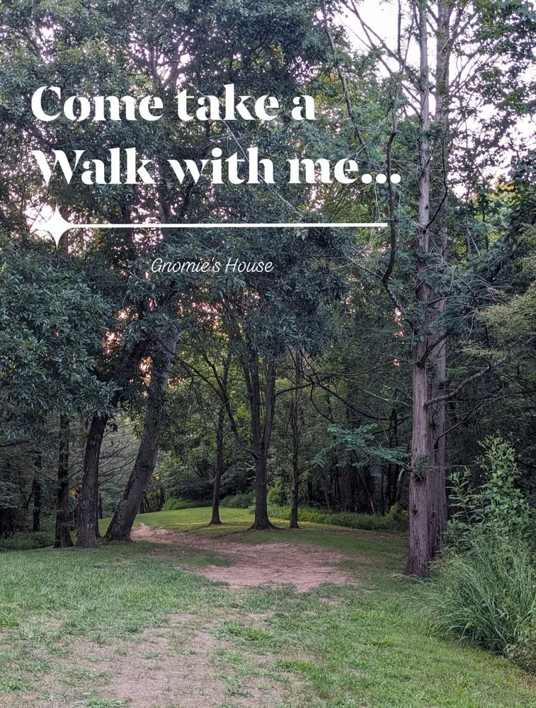 A grassy path through the trees with a hint of sunset.
Text: Come take a walk with me...