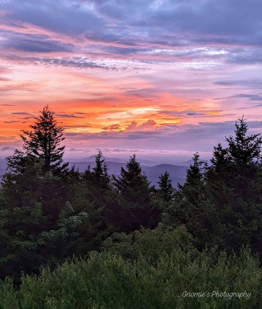 Beautiful orange and purple sunset over Spruce Knob WV last July. Towering spruce trees and brush in the foreground give way to misty purple mountain tops. 