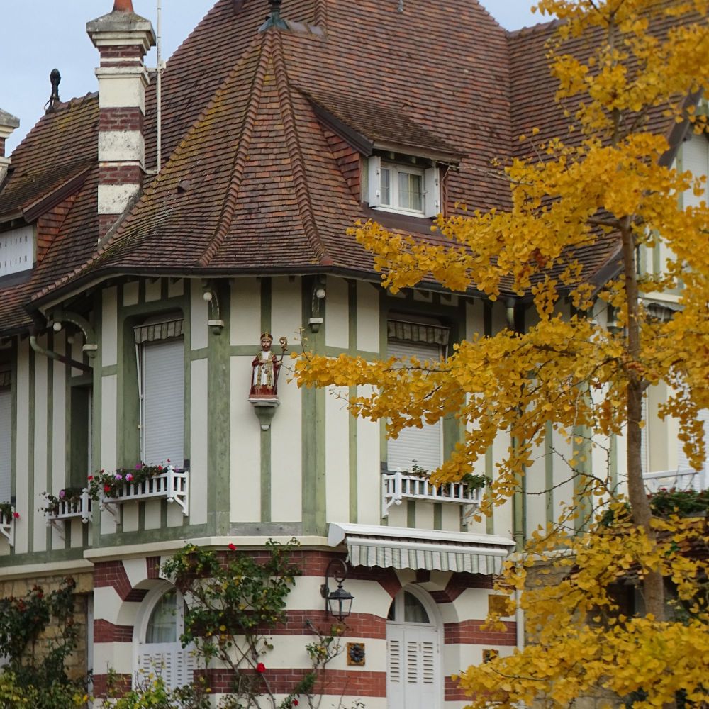Cropped image of a decorative house with green painted timber beams and a complex roof shape behind a yellow-leaved ginkgo tree