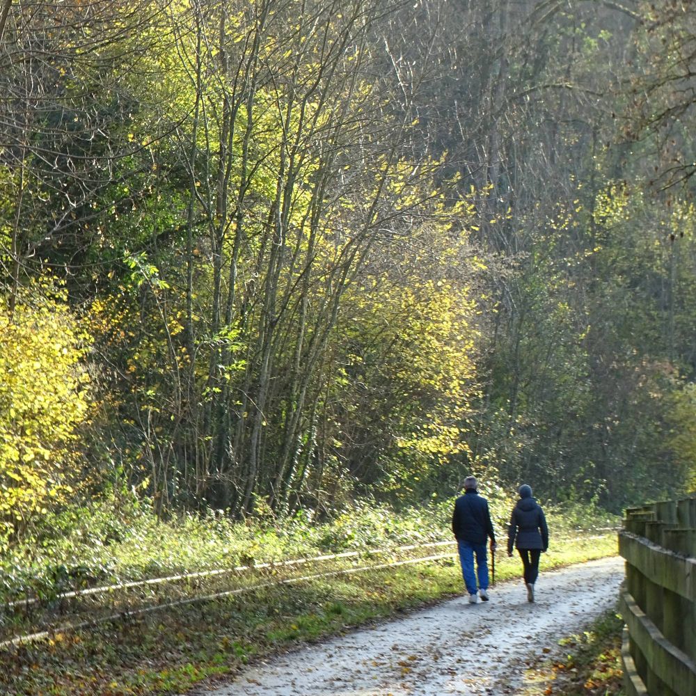 Two pedestrians walk along the footpath alongside a disused railway line surrounded by trees