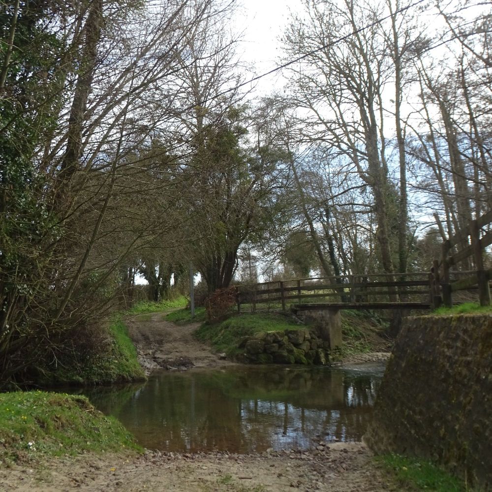 A farm track makes a ford across a narrow river among trees. A footbridge also crosses the river.