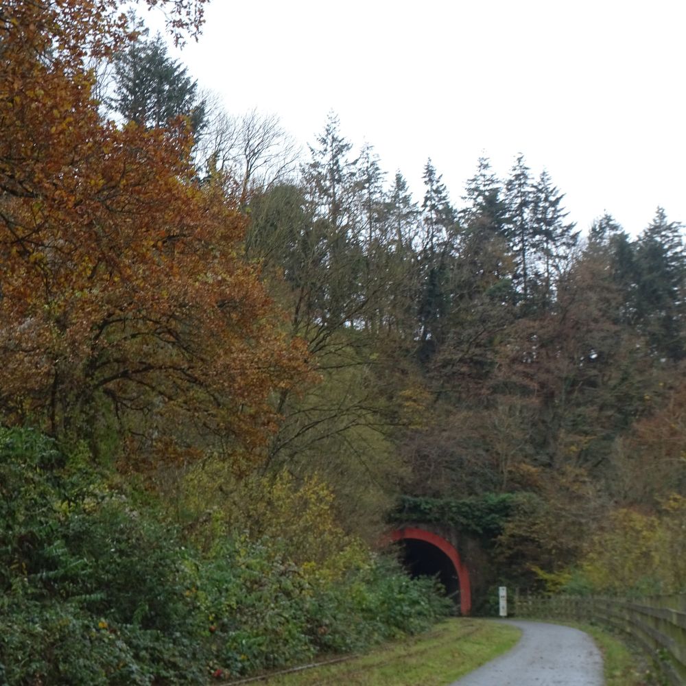 The footpath approaches the arch of a tunnel surrounded by autumnal trees