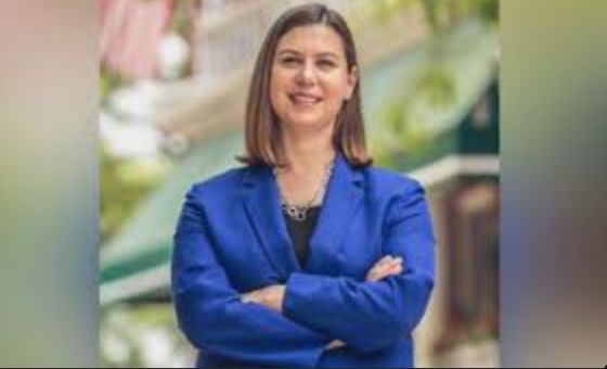 Elissa Slotkin for Michigan Senate 2024