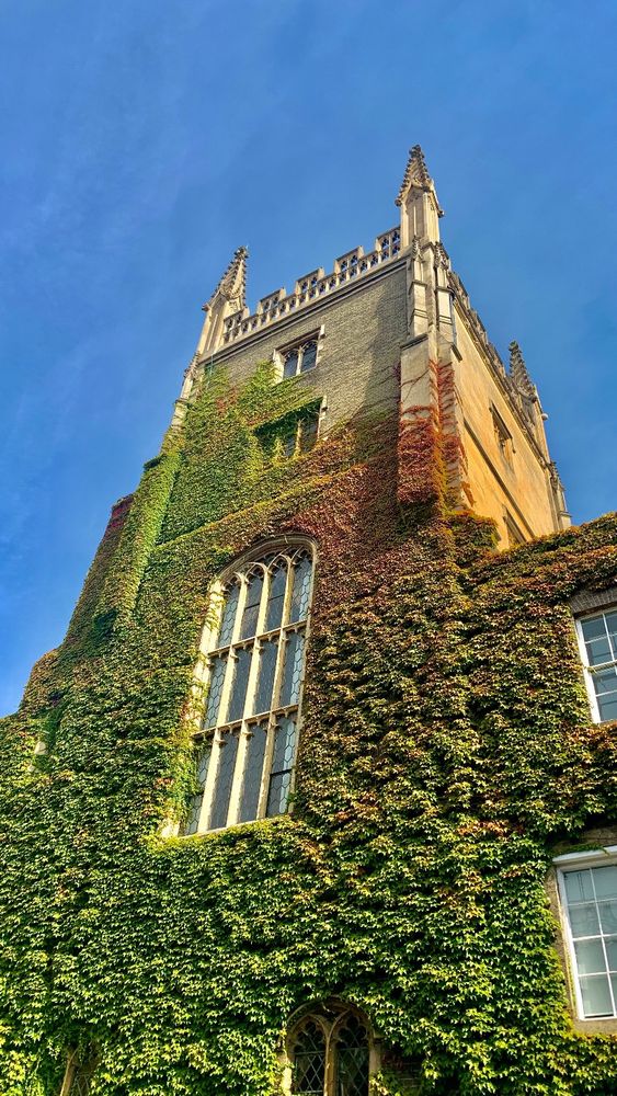 old stone tower building with blue sky behind. the tower is mostly covered with green foliage, some is turning red