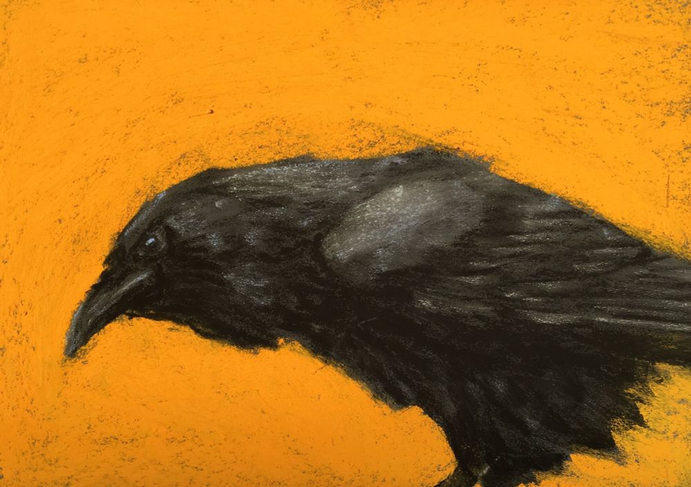 A pastel painting of an inquisitive looking raven against a bright orange background 