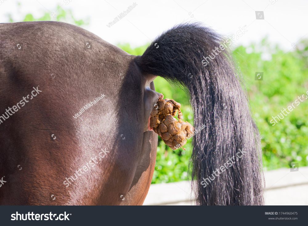 Comment image