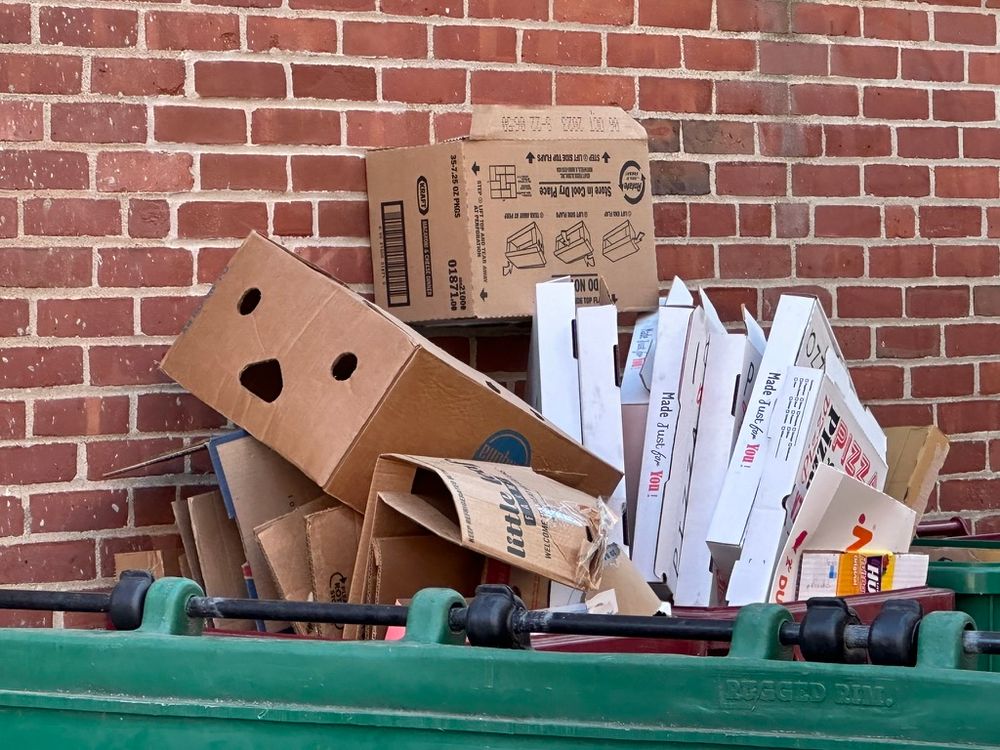Recycling bin featuring a box that looks pretty unhappy to be there.