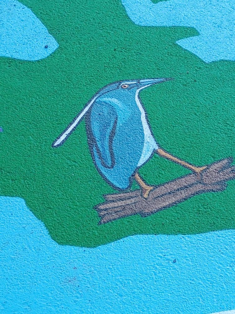charlotte irl (painting of a marshland bird it looks a little squished i did not get the name unfortunately)