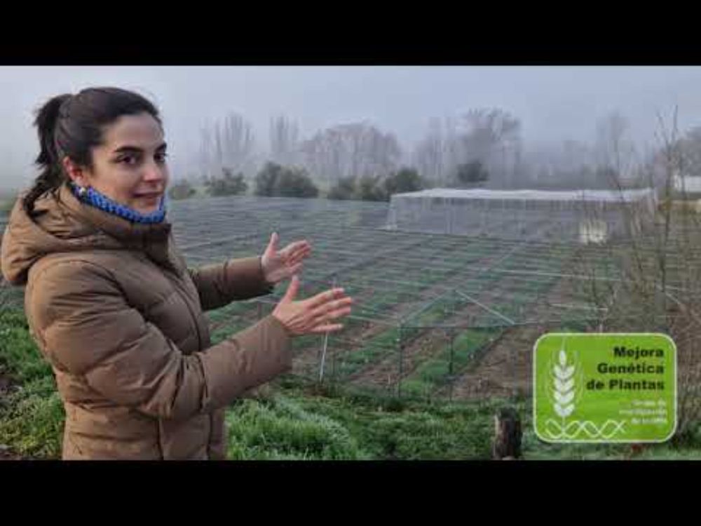 11F Día de la Mujer y la Niña en la Ciencia. Mejora Genética de Plantas - ETSIAAB - UPM