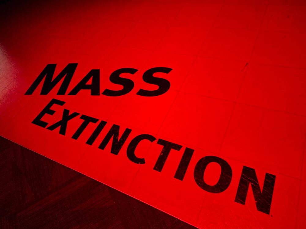 A sign projected on the floor saying 'mass extinction'.
