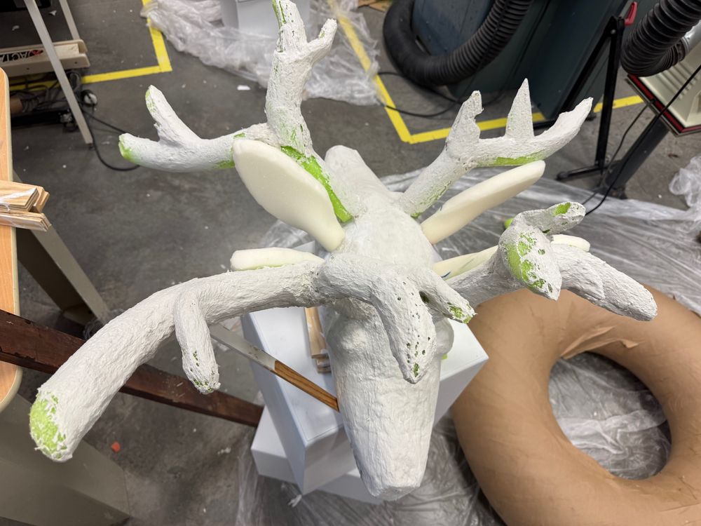 More of a top view of the head