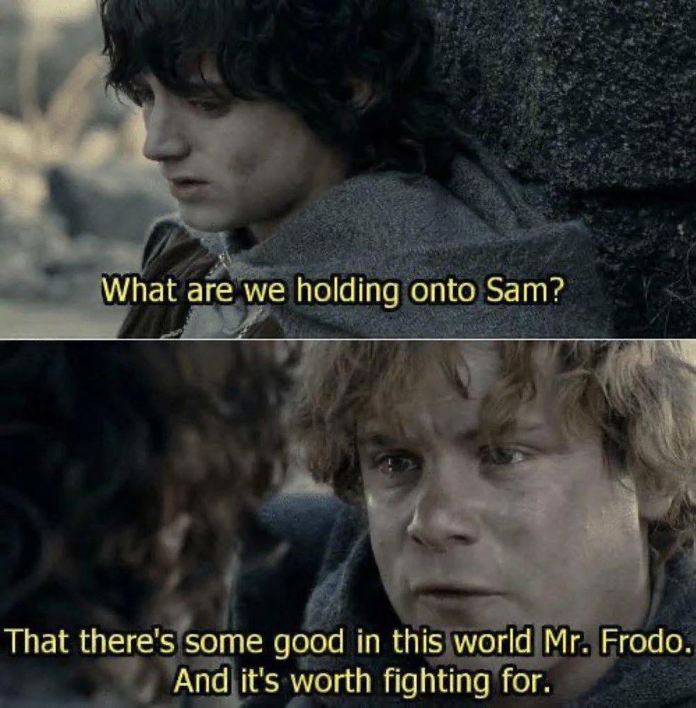 A 2 panel photo featuring a scene from The Lord of the Rings. In the top panel, Frodo Baggins looks forlorn as he says, “What are we holding onto Sam?”

In the bottom panel, Samwise Gamgee, Frodo’s gardener and dearest friend, looks Frodo in the eyes and says, “That there’s some good in this world, Mr. Frodo. And it’s worth fighting for.”