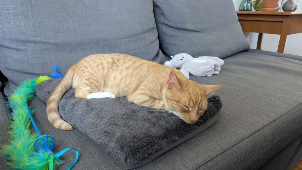 An orange and white cat sleeping peacefully on a cat bed on top of a couch.