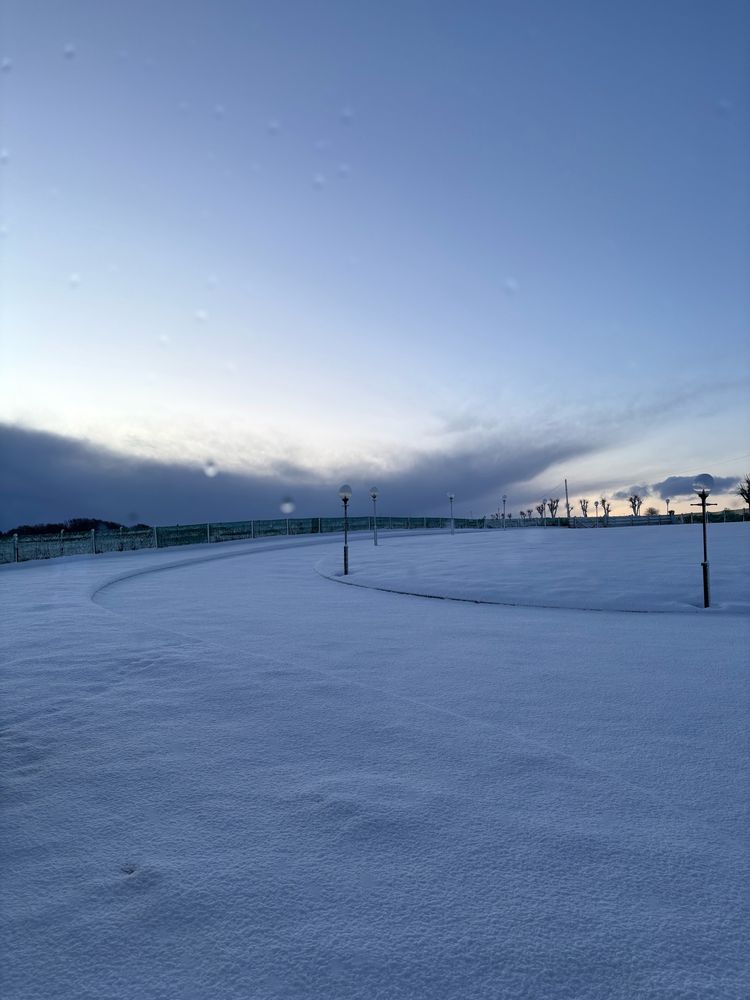 Fresh snow on the ground in a rural area