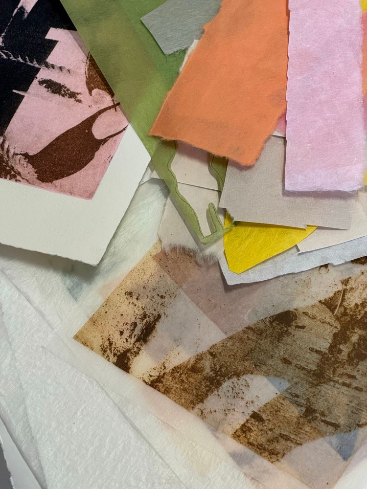 Printmaking paper collection
