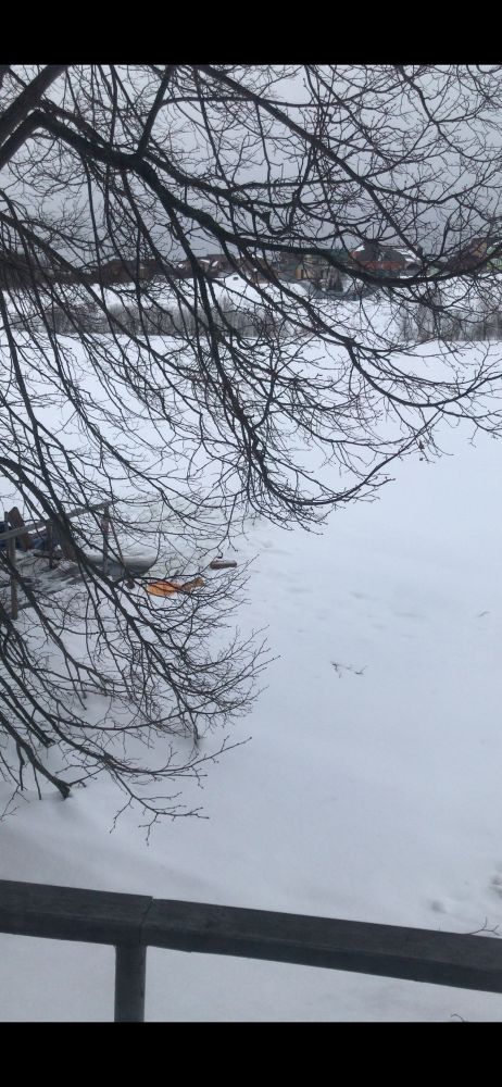 Icy snowy scene. A bare tree with dark branches. A guide rail and steps to a cut out piece of ice