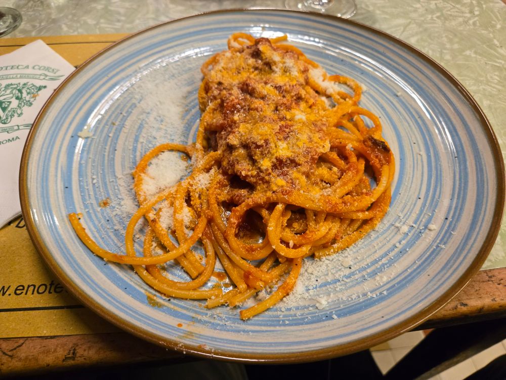 a plate of bucatini all'amatriciana - looks like thick spaghetti with a tomato based sauce
