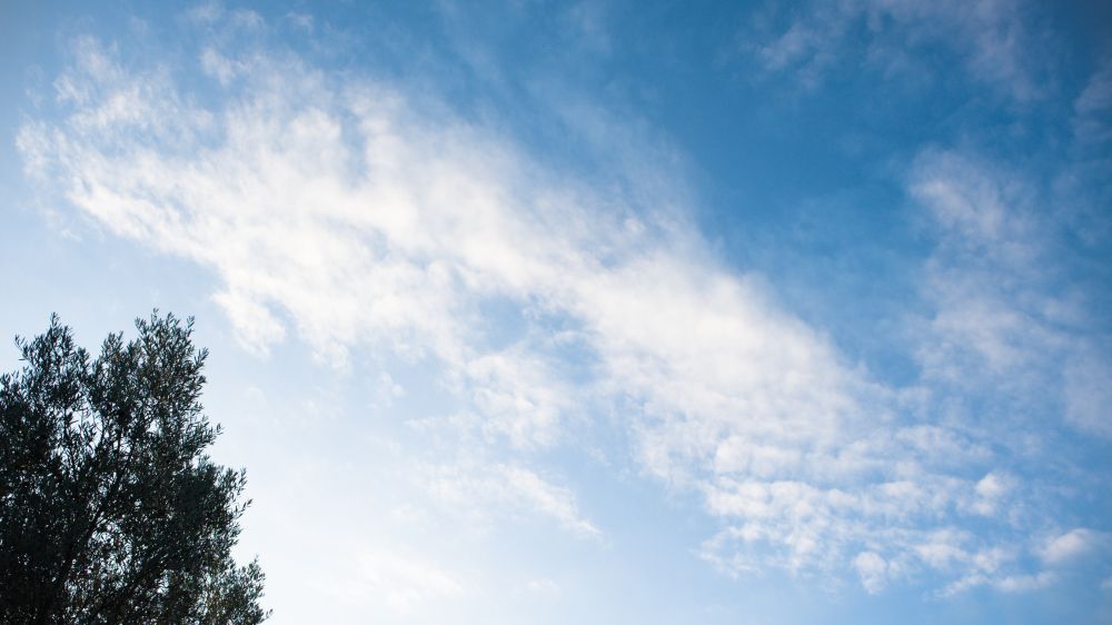 Photography of a beautiful cloud formation with a tree silhouette in foreground.