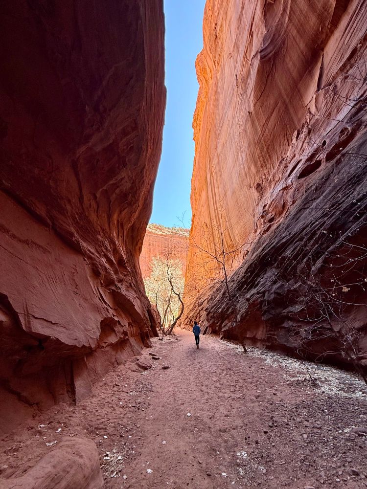 Deep within the glow of a sandstone desert canyon