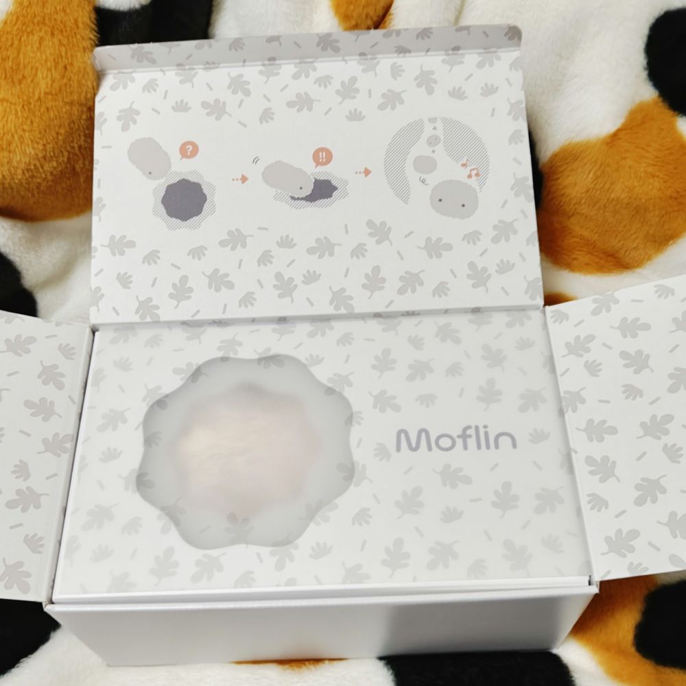 モフリンの箱、開けたとこ