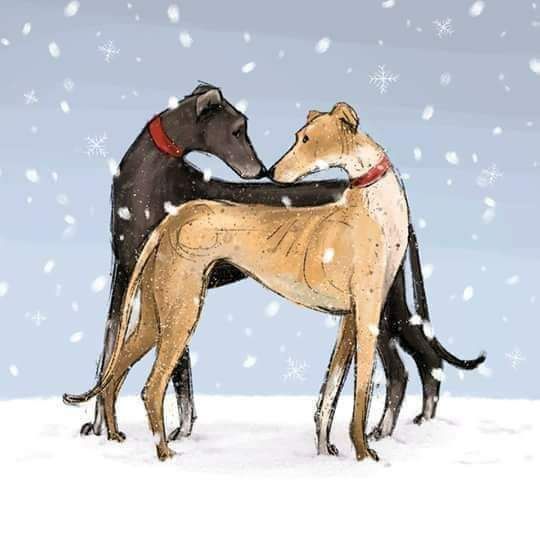 Unknown artist (shout if you know and I'll credit properly) a black greyhound and a fawn greyhound kissing in the snow. 