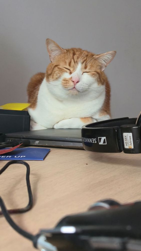 An orange and white cat is loafing beside a closed laptop with his arm laying on top of the laptop. His eyes are closed and sleepy.