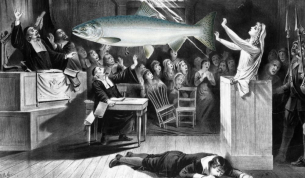 A fish in a witch trial