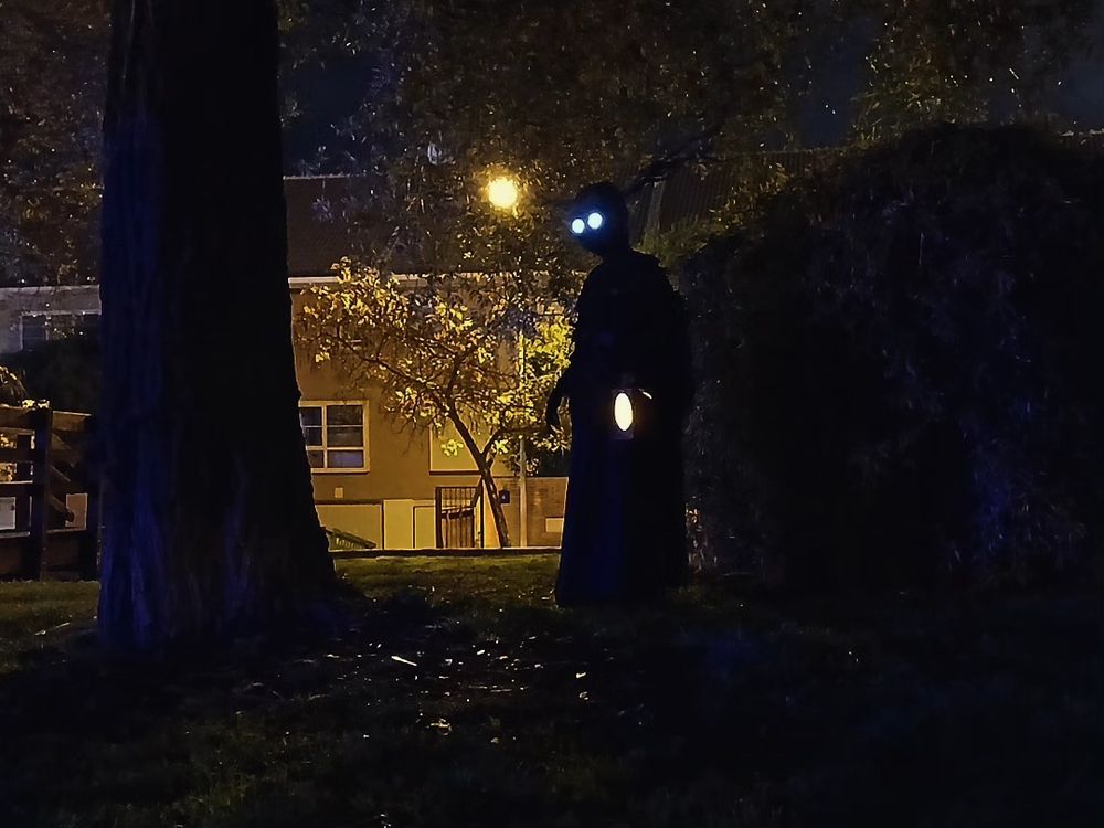 Entire body photo of The Beast, in the middle of a park, contrasting with the lights from the street lights behind; blending in with the shadows