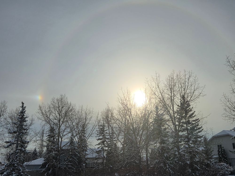 A wintery scene - in the foreground are spruce and poplar trees with a light coat of snow. The appear black with white on top. The background is a grey sky with a the sun glowing pale yellow through haze. There is halo, a whiter half circle from treetop to treetop around the sun. On the left side just above the trees there is a bright sundog, a point of rainbow coloured light