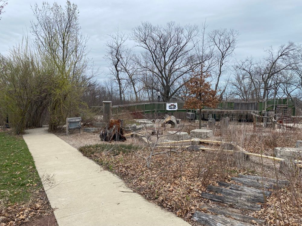 Another view from inside the Nature Play-space 
Stumps and things for climbing on, beams and boulders fill the space. One path is paved for wheelchair access and goes through another willow tunnel. The willows are budding out in golden green but otherwise the Forest in the background is bare, save for an oak holding on to last years brown leaves. 
