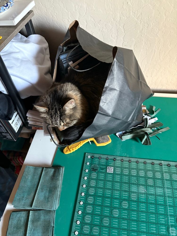 A tabby cat sleeping in a black paper bag containing fabric, sitting on a green cutting mat with large ruler. Also present are squares of fabric and a yellow slicker brush. 