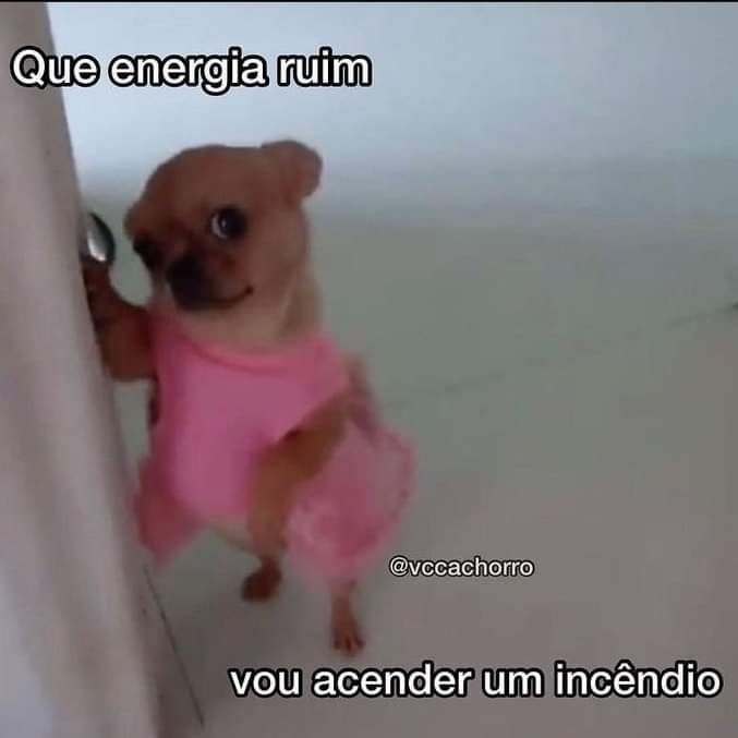 Um cachorrinho caralemo claro muito pequeno (talvez um chiuaua) de vestido cor de rosa. Ele está vom as orelhinhas pra trás, com expressão de dúvida. Está em pé nas duas patinhas traseiras e com a pata dianteira direita apoiada na parede. Em volta dele está a frase "que energia ruim, vou acender um incêndio"