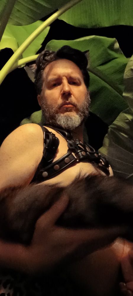 Fox ears and tail with leather harness