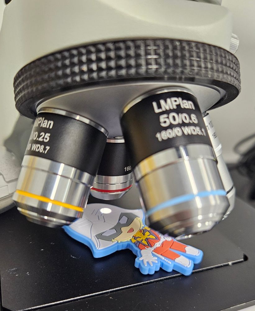 a Char Aznable keychain underneath a microscope