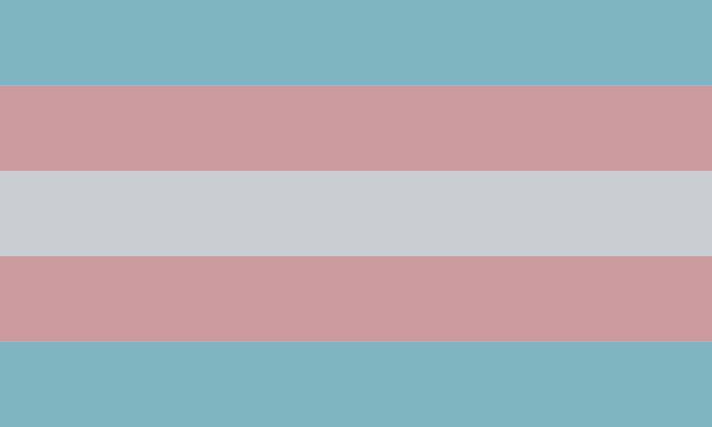 The trans flag colorpicked from the previous screenshot