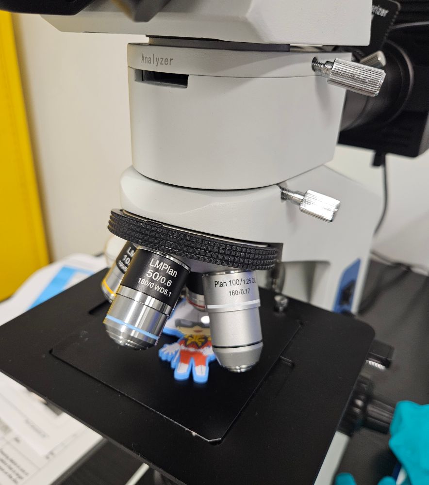 I put Char under a microscope 