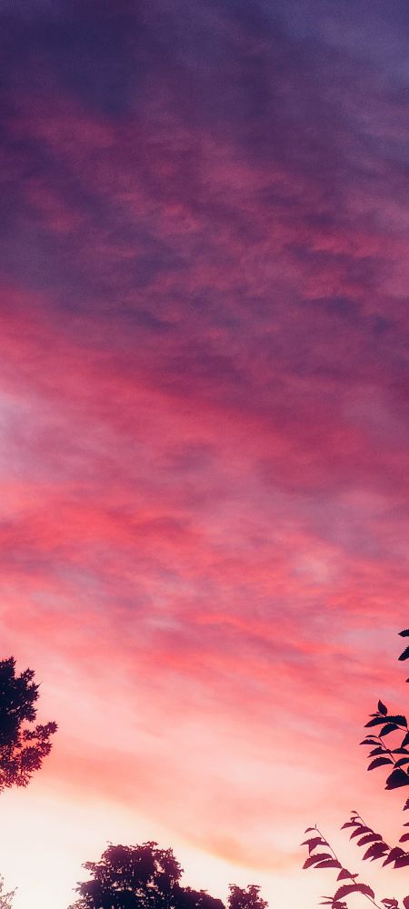 Blues, purples and reds across the sky in tonight's sunset.