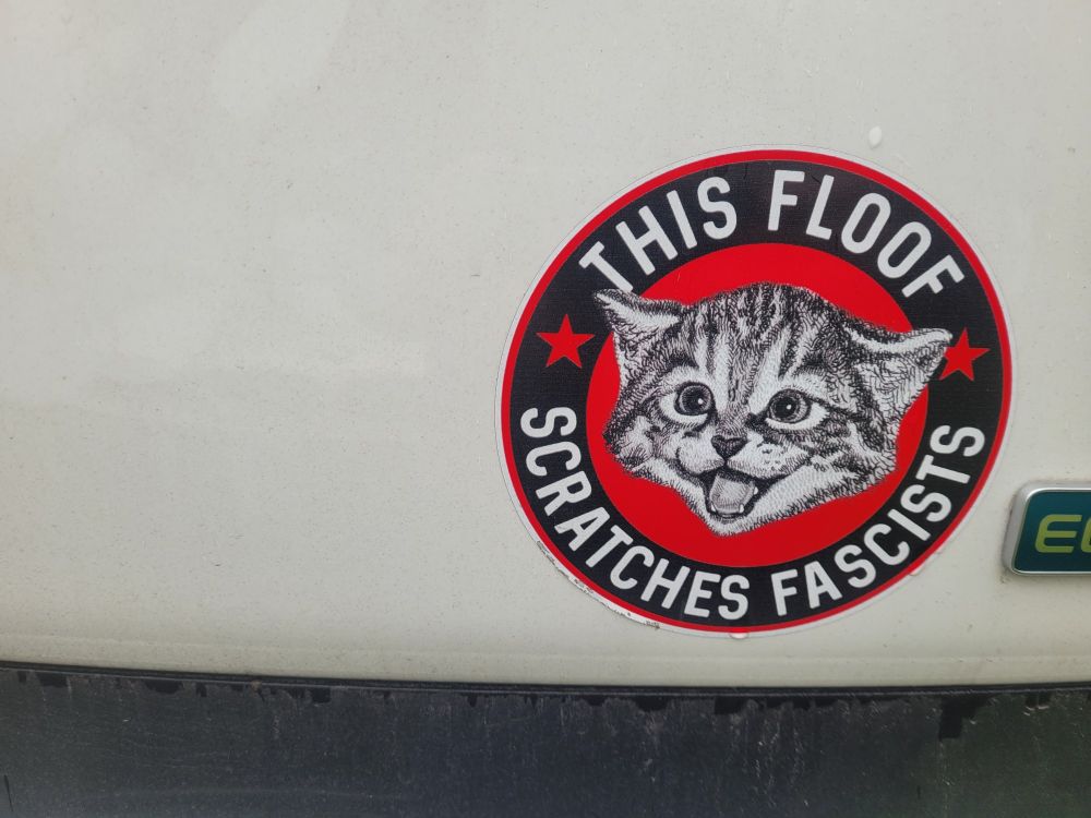 Black, red and white round bumper sticker with a smiling kitten in the middle. Text around the kitty says, "This floof scratches fascists."