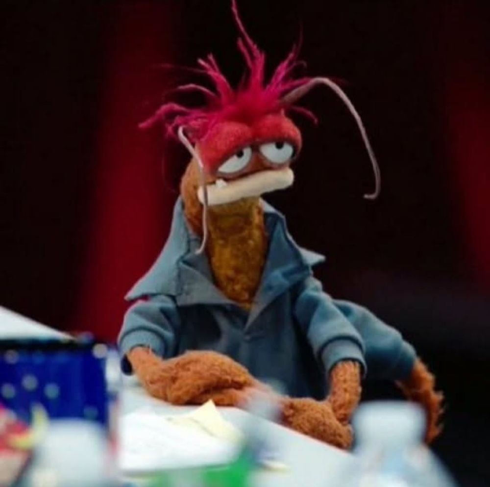 Pepe the King Prawn looking tired