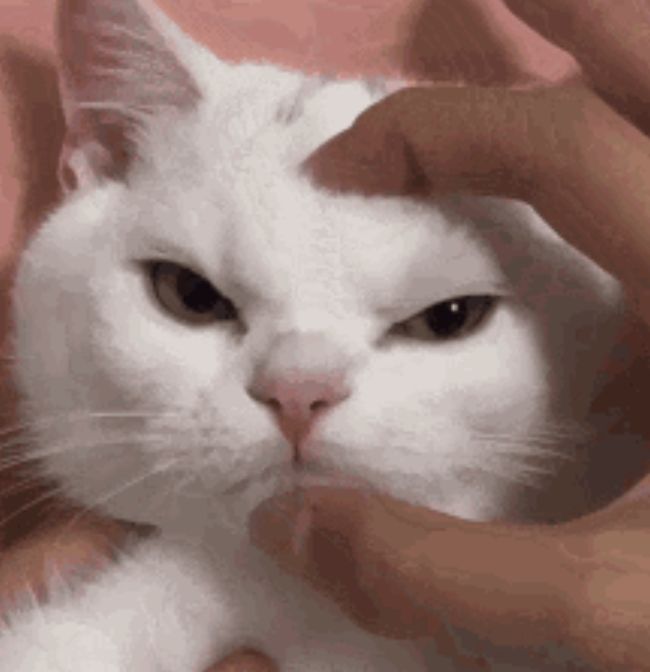 Tirei print pq o GIF não carrega