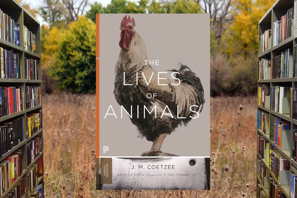 Are the hills of Iowa enmeshed with a vast network of death camps, comparable in moral terms to those of the Holocaust? This is one of the questions raised, indeed […]