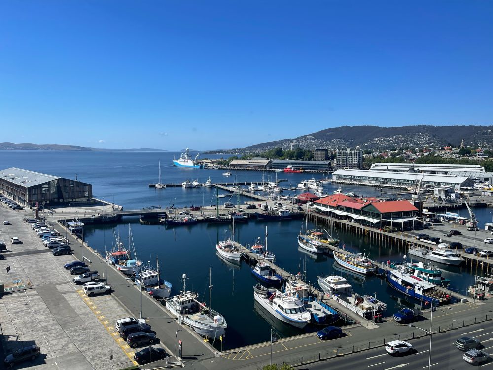 A view over a harbour with lovely dark blue sea, lots of white boats, and green hills in the distance. In Hobart, Tasmania. 