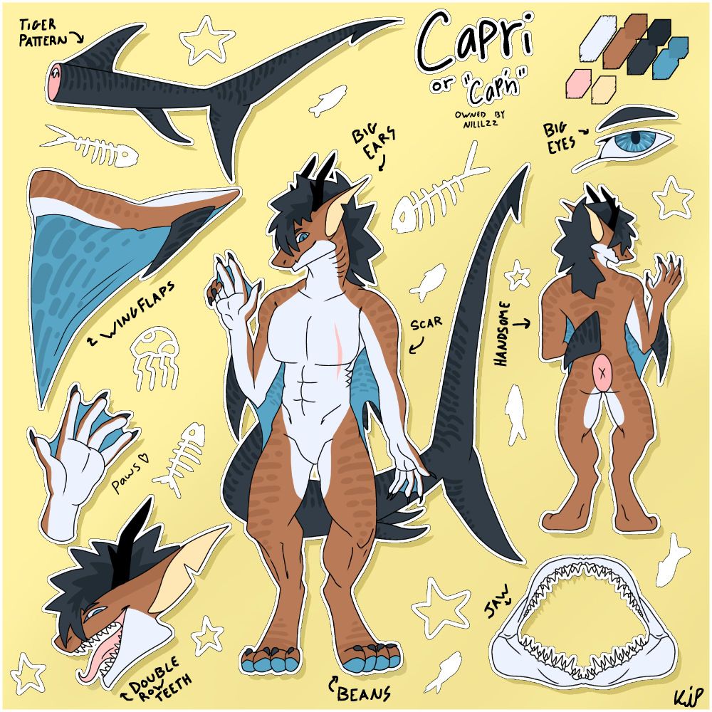 Capri ref sheet