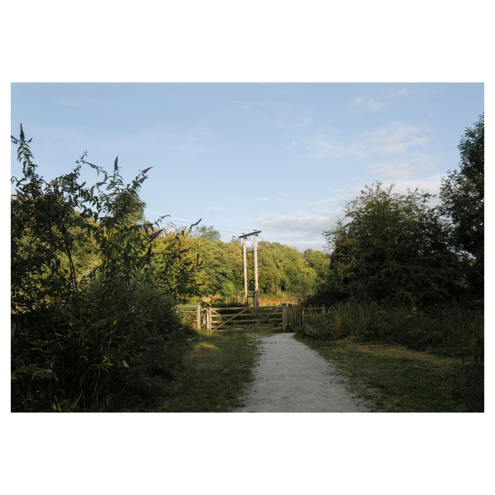 A pylon at the end of a country path. Connectivity is everywhere and you cannot escape.